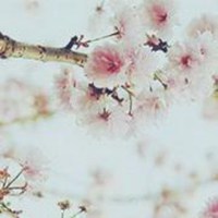 花草微信头像