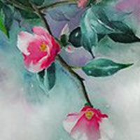 茉莉花微信头像