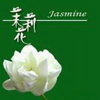 茉莉花微信头像