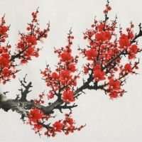 微信头像梅花图片下载