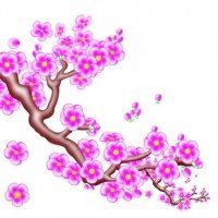 微信头像梅花图片下载