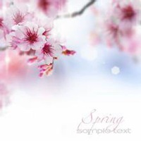 2017最新微信头像梅花图片大全