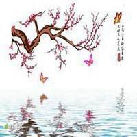 2017最新微信头像梅花图片大全