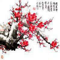 2017最新微信头像梅花图片大全