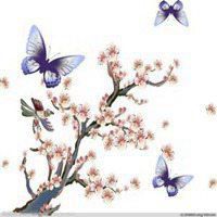 2017最新微信头像梅花图片大全