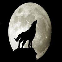 野狼战狼微信头像