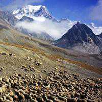 微信图片大全头像风景