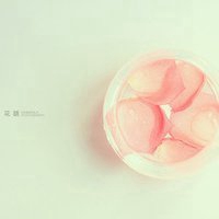 高清带字鲜艳花朵微信头像