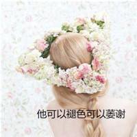 高清带字鲜艳花朵微信头像