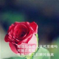 高清带字鲜艳花朵微信头像