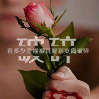 高清带字鲜艳花朵微信头像