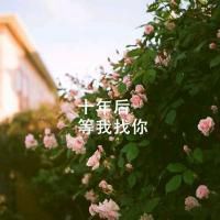 高清带字鲜艳花朵微信头像