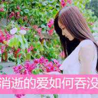 高清带字鲜艳花朵微信头像