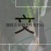 微信头像姓氏文的头像