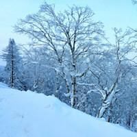 微信头像雪景