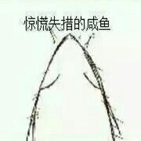 咸鱼翻身图片