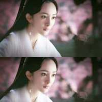 三生三世十里桃花微信图片