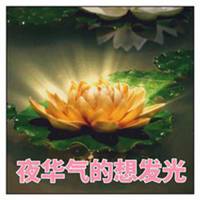 三生三世头像