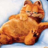 加菲猫微信头像