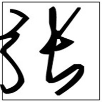 姓氏头像张字图片大全