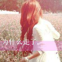 微信头像文字图片大全