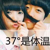 最新文字控微信头像免费下载