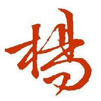 我姓杨的文字图片