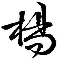 我姓杨的文字图片