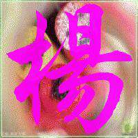 我姓杨的文字图片