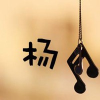 我姓杨的文字图片