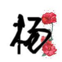 我姓杨的文字图片