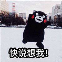 熊本熊搞笑图片