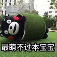 熊本熊搞笑图片
