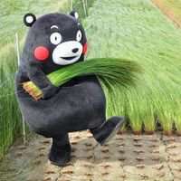 熊本熊搞笑图片