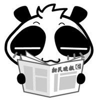 熊猫微信头像图片