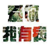 纯文字图片在线制作