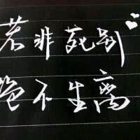 纯文字头像制作