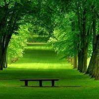 高清微信头像图片文字