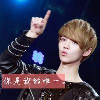 鹿晗文字控图片