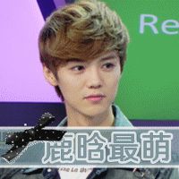 鹿晗文字控图片