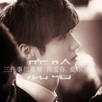 鹿晗文字控图片