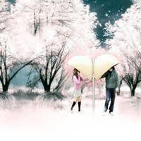 微信头像樱花浪漫美景