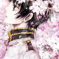 微信头像樱花浪漫美景