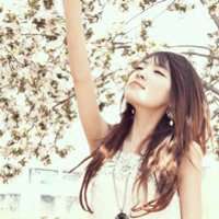 微信头像樱花浪漫美景