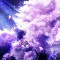 微信头像樱花浪漫美景