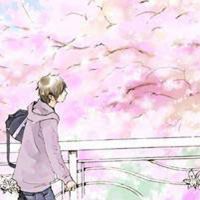 微信头像樱花浪漫美景