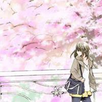 微信头像樱花浪漫美景