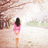 微信头像樱花浪漫美景