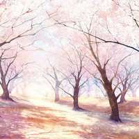 微信头像樱花浪漫美景