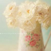 微信头像浪漫图片大全